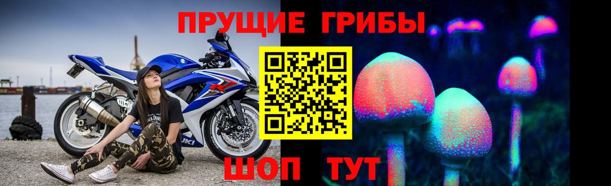Галлюциногенные грибы GOLDEN TEACHER Дивногорск