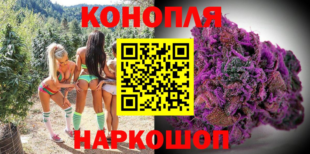 Каннабис планчик Дивногорск